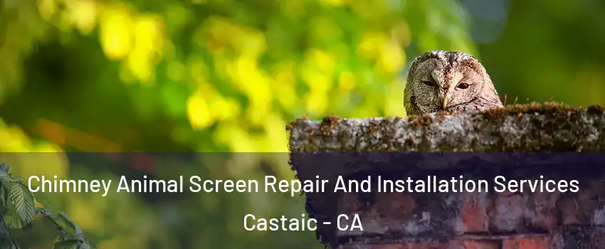  Chimney Animal Screen Repair And Installation Services Castaic - CA