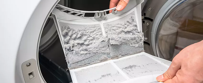 Best Dryer Lint Removal Company in Castaic, California