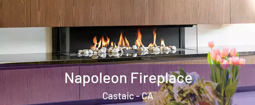  Napoleon Fireplace Castaic - CA